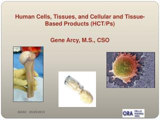 Human Cells, Tissues, and Cellular and Tissue-Based Products (HCT/Ps) Gene Arcy, M.S., CSO