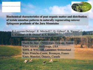 Biochemical characteristics of peat organic matter and distribution