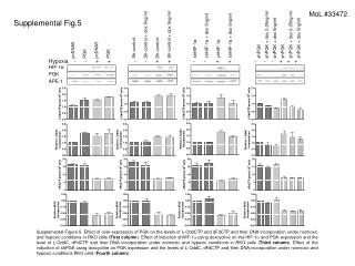 pcDNA5 PGK pcDNA5 PGK