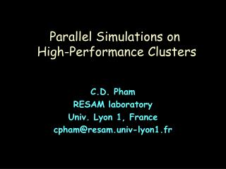 Parallel Simulations on High-Performance Clusters