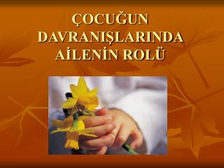 ocu un davrani larinda a len n rol
