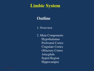 Limbic System