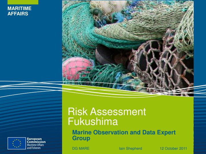risk assessment fukushima