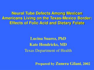Lucina Suarez, PhD Kate Hendricks, MD Texas Department of Health