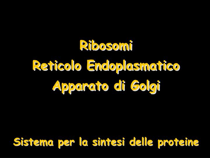 ribosomi reticolo endoplasmatico apparato di golgi