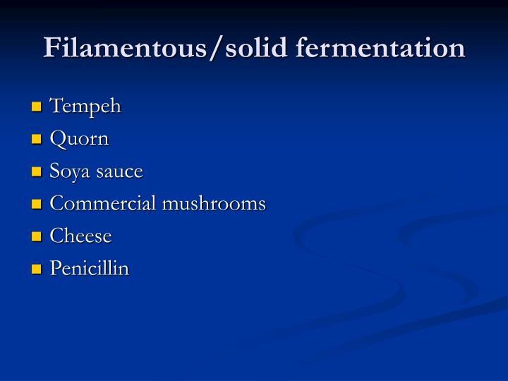 filamentous solid fermentation