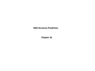 RNA Structure Prediction