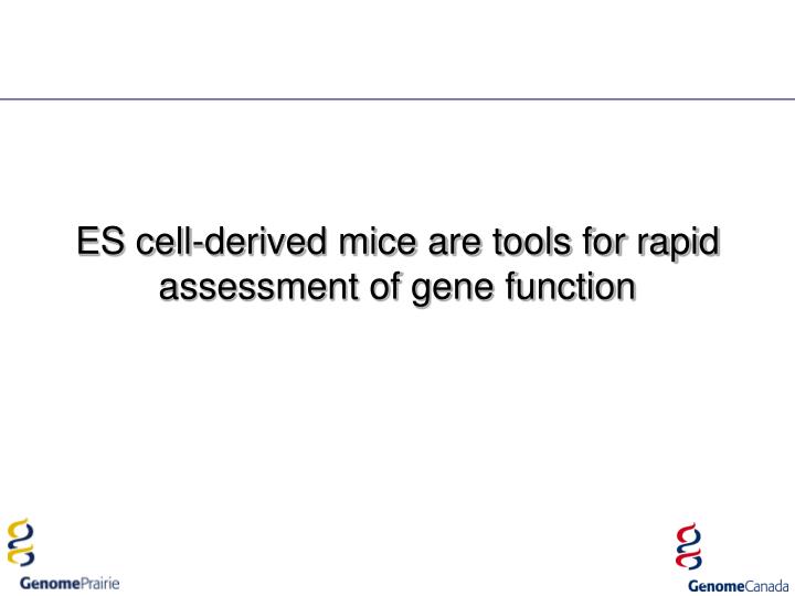 es cell derived mice are tools for rapid assessment of gene function