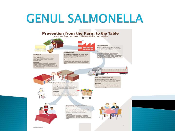 genul salmonella
