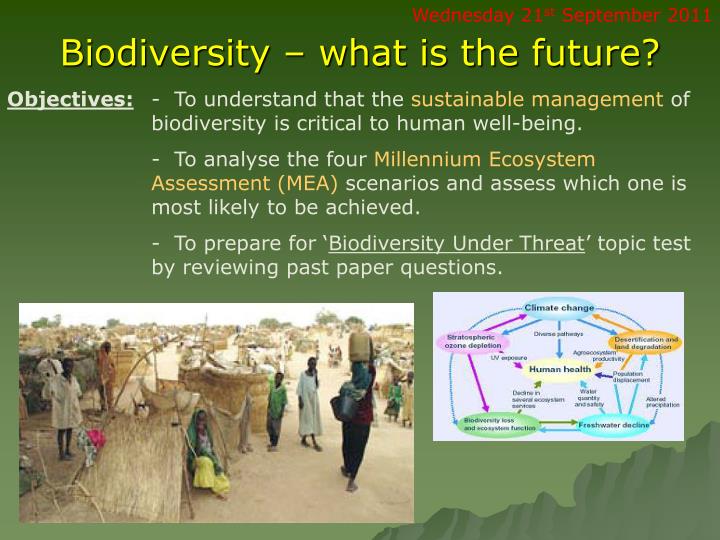 biodiversity what is the future