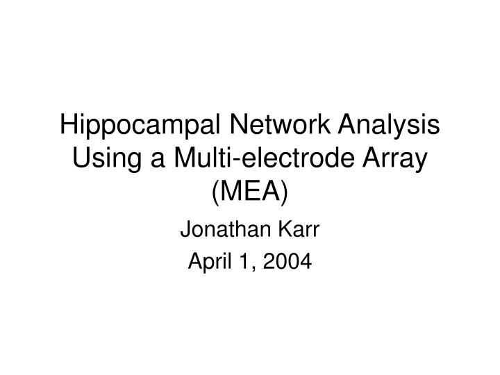 hippocampal network analysis using a multi electrode array mea