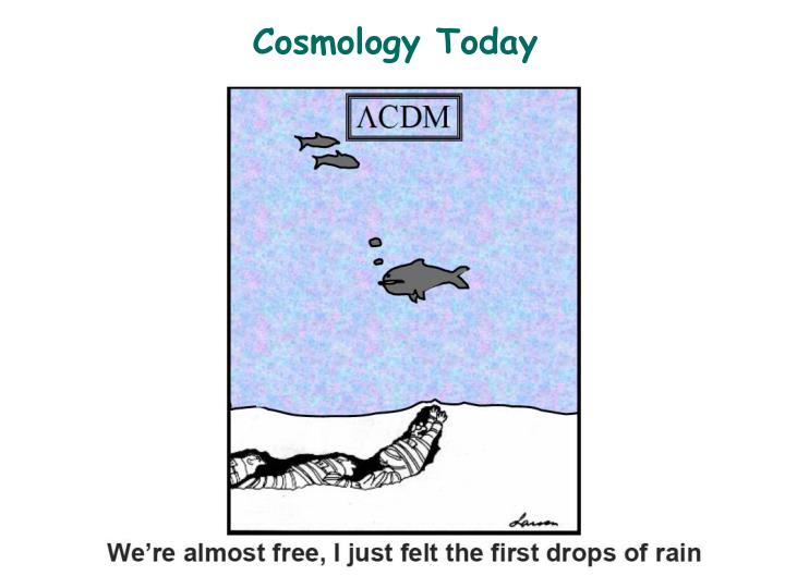 cosmology today