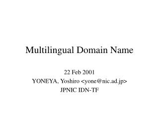 Multilingual Domain Name