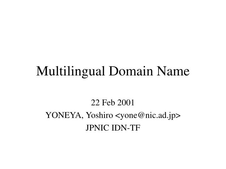 multilingual domain name