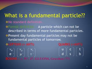 What is a fundamental particle??