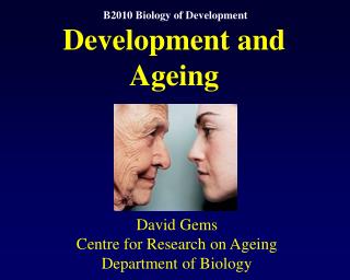 David Gems Centre for Research on Ageing Department of Biology