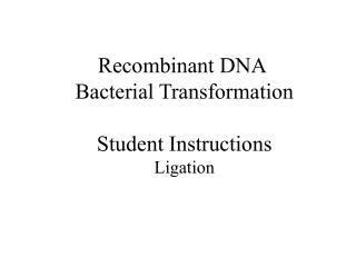 Recombinant DNA Bacterial Transformation Student Instructions Ligation