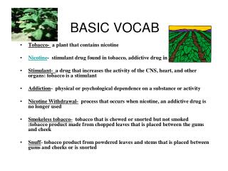 Basic Vocabulary