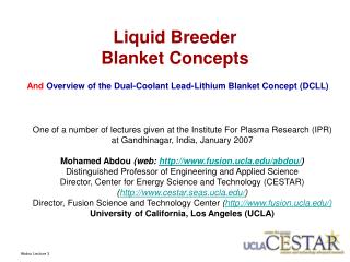 Liquid Breeder Blanket Concepts