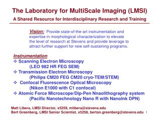 The Laboratory for MultiScale Imaging (LMSI)