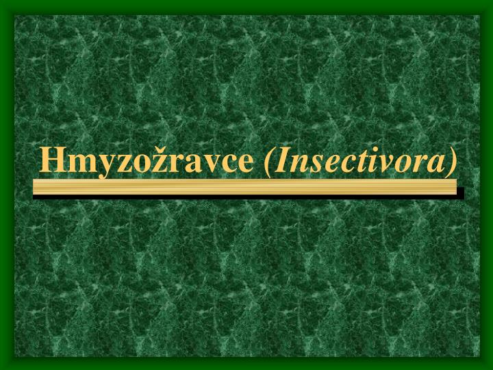 hmyzo ravce insectivora