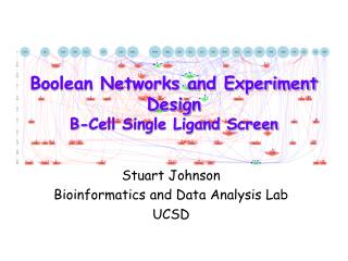 Boolean Networks and Experiment Design B-Cell Single Ligand Screen