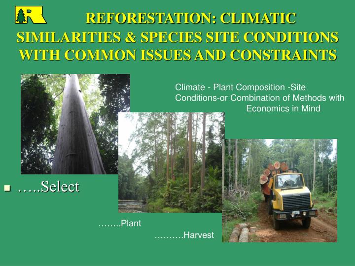 reforestation climatic similarities species site conditions with common issues and constraints
