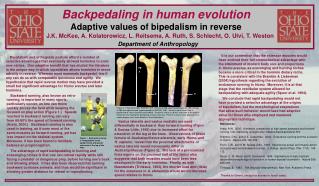 Backpedaling in human evolution Adaptive values of bipedalism in reverse