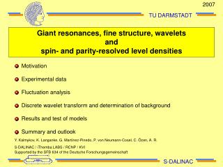 Giant resonances, fine structure, wavelets and spin- and parity-resolved level densities