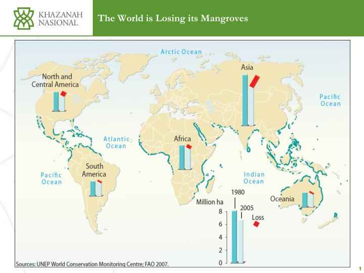 the world is losing its mangroves