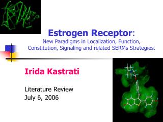 Irida Kastrati Literature Review July 6, 2006