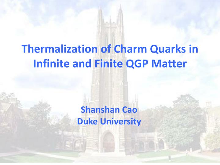 thermalization of charm quarks in infinite and finite qgp matter