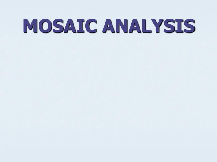 mosaic analysis