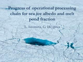 Progress of operational processing chain for sea ice albedo and melt pond fraction