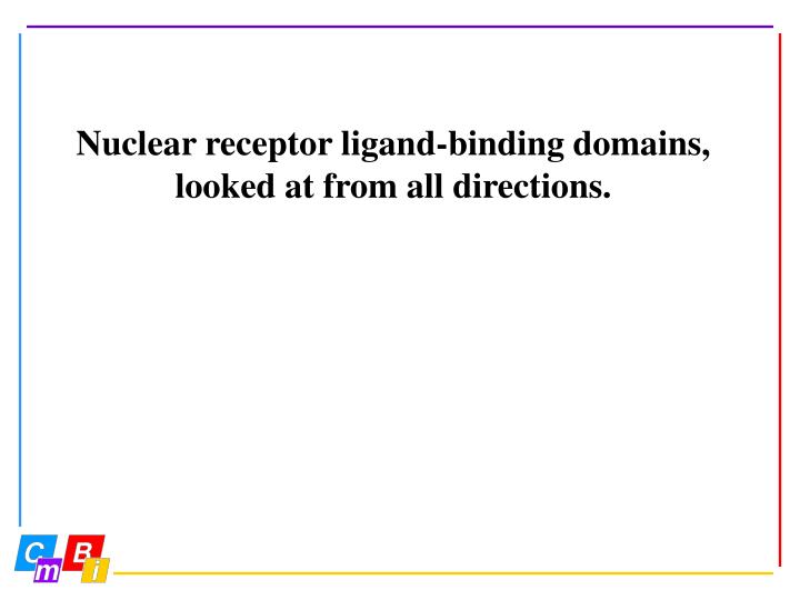 nuclear receptor ligand binding domains looked at from all directions