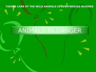 TAKING CARE OF THE WILD ANIMALS IS EVERYBODIES BUSINES