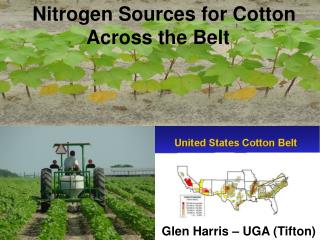 Nitrogen Sources for Cotton Across the Belt