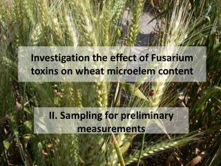 Investigation the effect of Fusarium toxins on wheat microelem content
