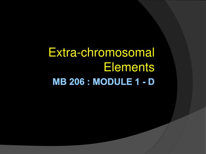 extra chromosomal elements