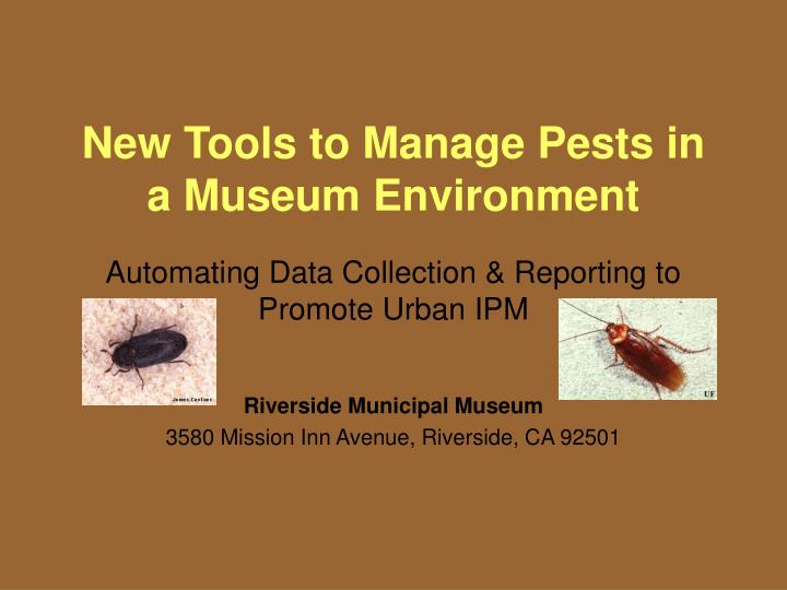 new tools to manage pests in a museum environment
