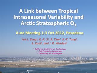 A Link between Tropical Intraseasonal Variability and Arctic Stratospheric O 3
