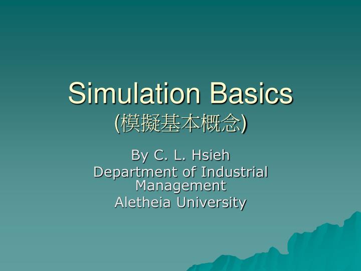 simulation basics