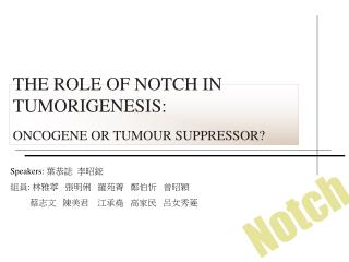 THE ROLE OF NOTCH IN TUMORIGENESIS: ONCOGENE OR TUMOUR SUPPRESSOR?