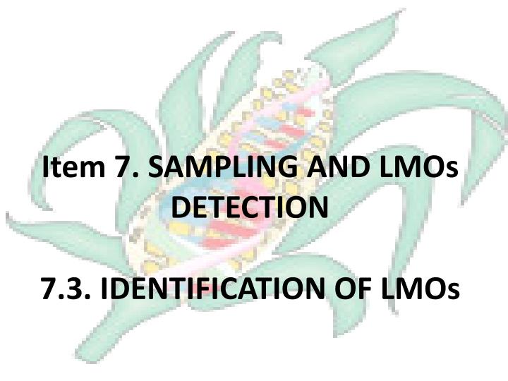 item 7 sampling and lmos detection 7 3 identification of lmos
