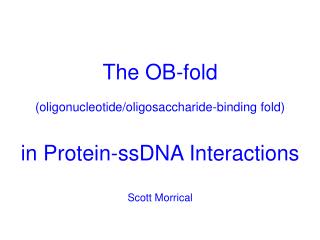 The OB-fold (oligonucleotide/oligosaccharide-binding fold) in Protein-ssDNA Interactions