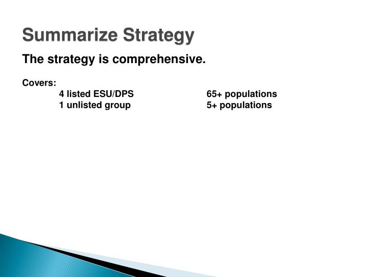 summarize strategy