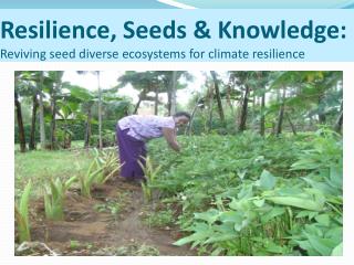 Resilience, Seeds &amp; Knowledge: Reviving seed diverse ecosystems for climate resilience