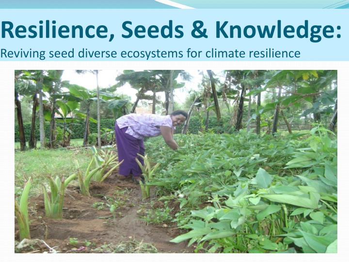 resilience seeds knowledge reviving seed diverse ecosystems for climate resilience