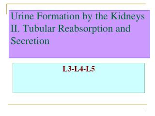 Urine Formation by the Kidneys II. Tubular Reabsorption and Secretion
