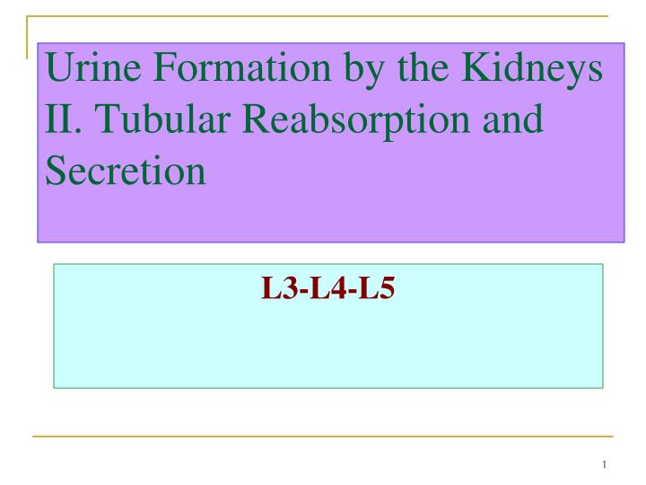 urine formation by the kidneys ii tubular reabsorption and secretion